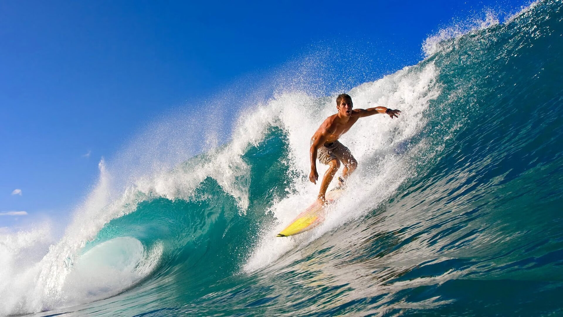 爱游戏体育app-中立代表队B的强心脏——普里戈达，普里戈金百度百科