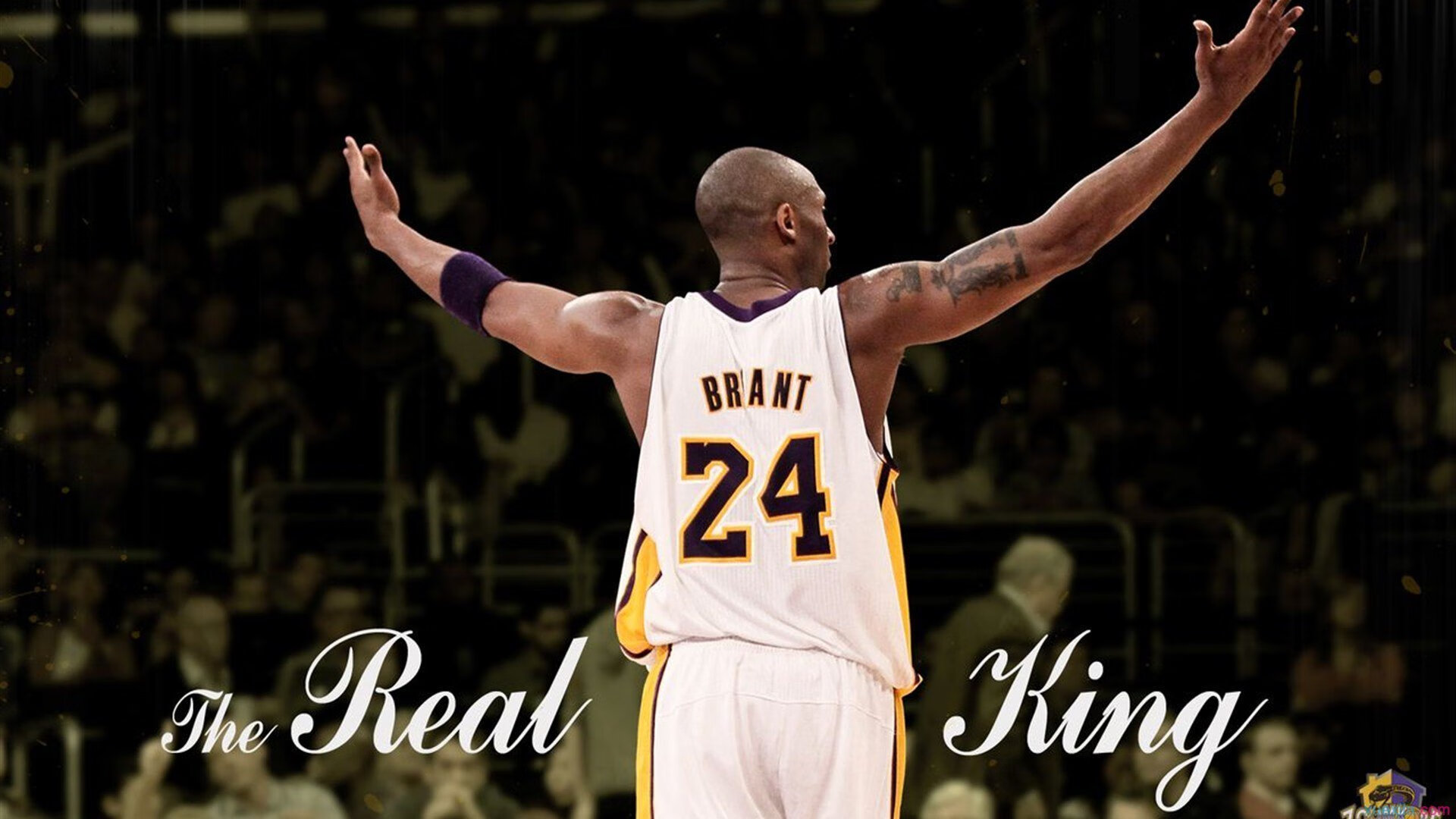 爱游戏在线登录入口-英超终极冲刺：每场都孕育奇迹，英超 满场